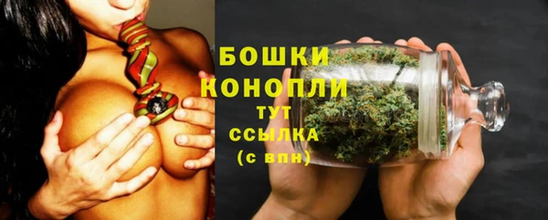 прущие грибы Верхний Тагил