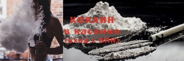 прущие крисы Бородино