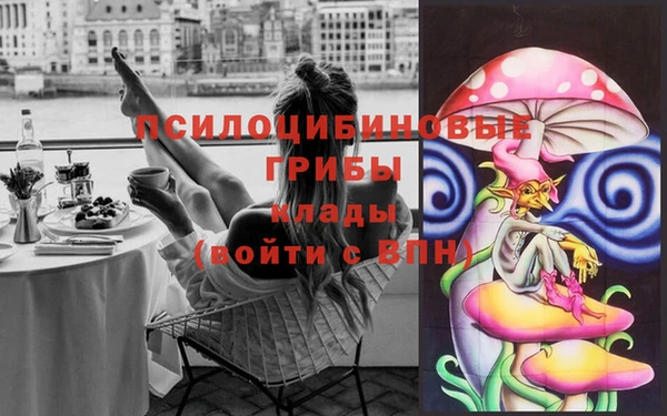 прущие грибы Верхний Тагил