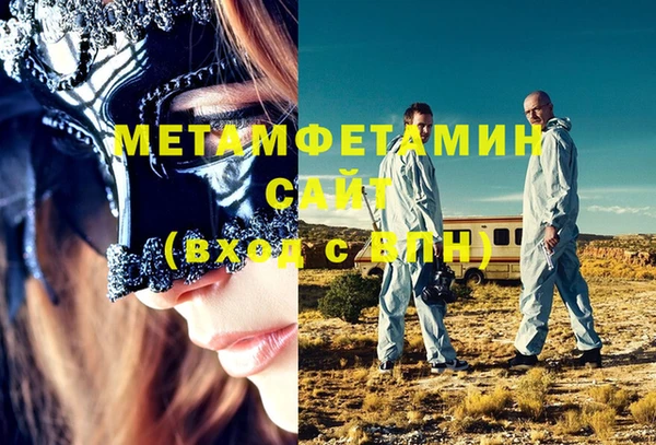 прущие грибы Верхний Тагил