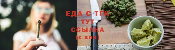 прущие грибы Верхний Тагил