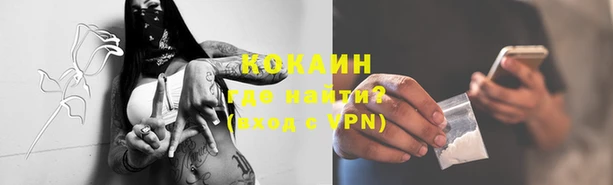 прущие грибы Верхний Тагил