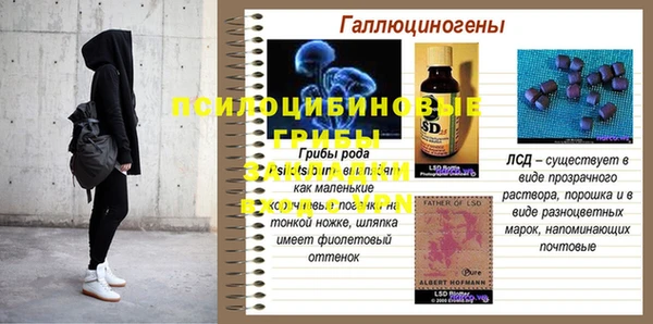 стаф Бронницы