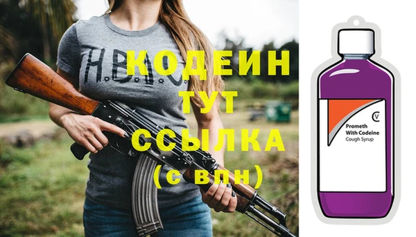прущие грибы Верхний Тагил