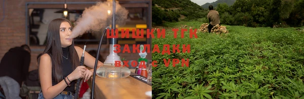 прущие грибы Верхний Тагил