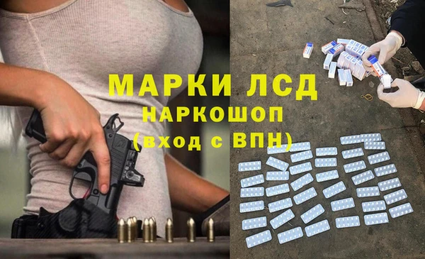 прущие грибы Верхний Тагил